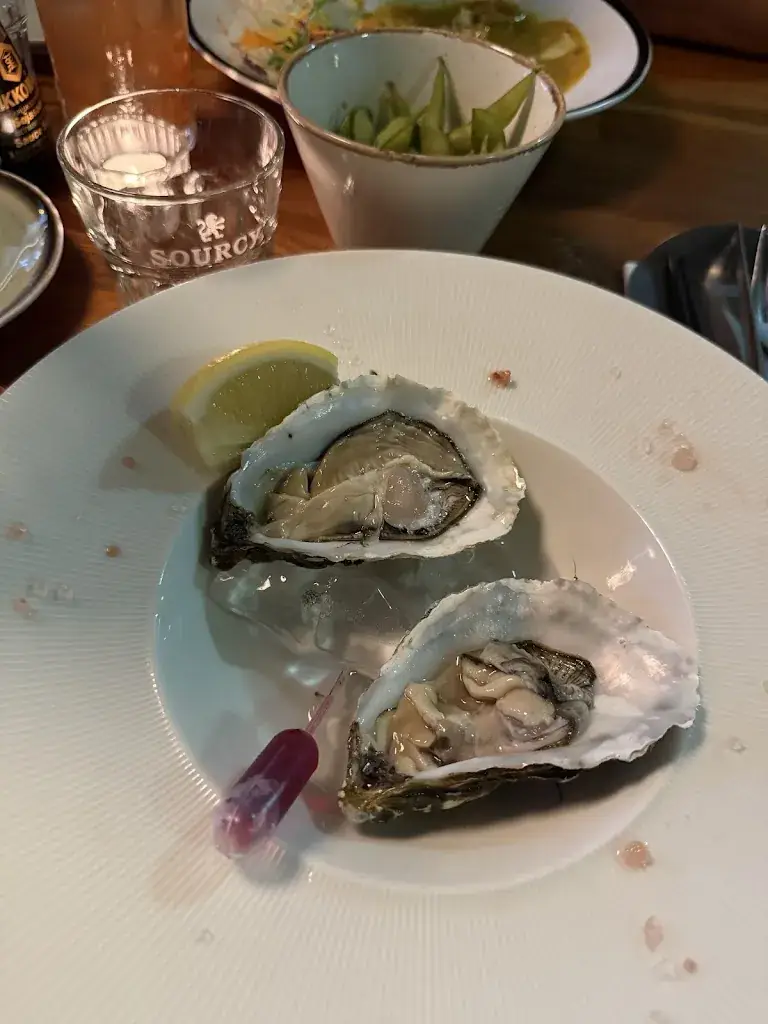 Katerina Shestak_Silmo_Brunssum_review