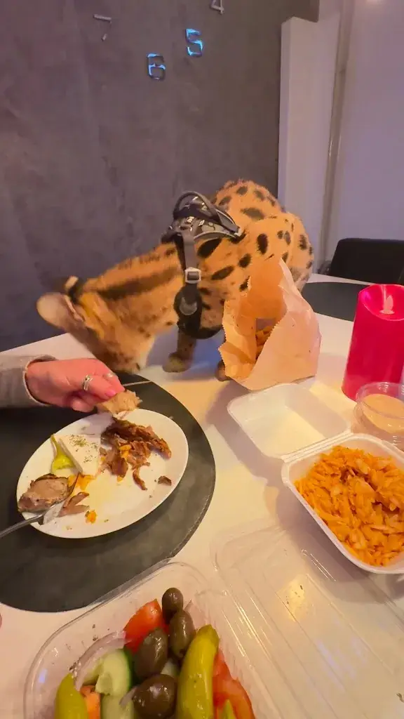 Byzantium Restaurant_Brunssum_slider_image_2