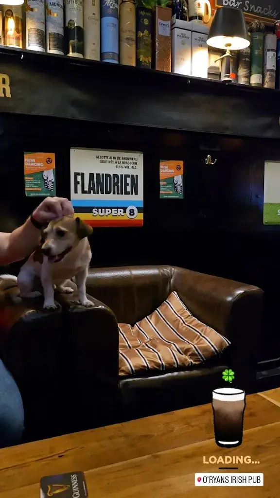 O'Ryans Irish Pub_Brunssum_slider_image_2