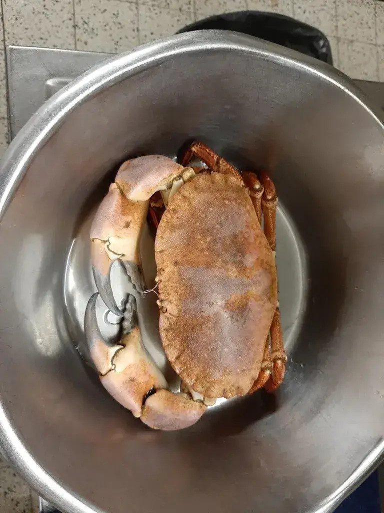 Menu_Restaurant De Vogelmolen_Haelen_image_6