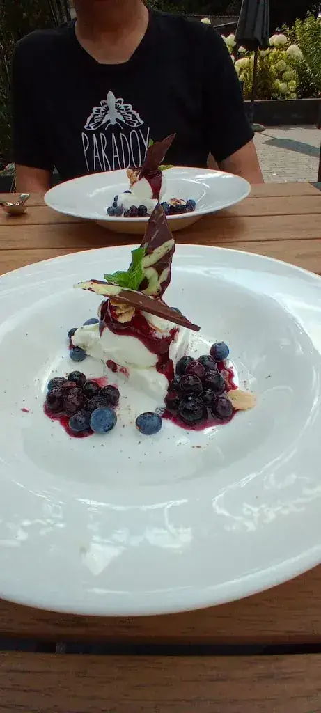 Chantal Snel_Restaurant De Vogelmolen_Haelen_review