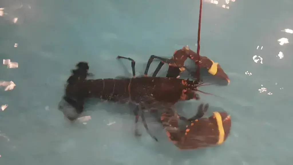 Restaurant De Vogelmolen_Haelen_slider_image_2