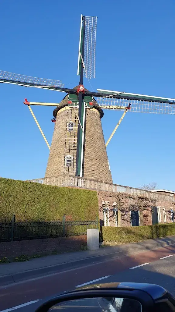 Daniel M_Plaza Gennep_Gennep_review