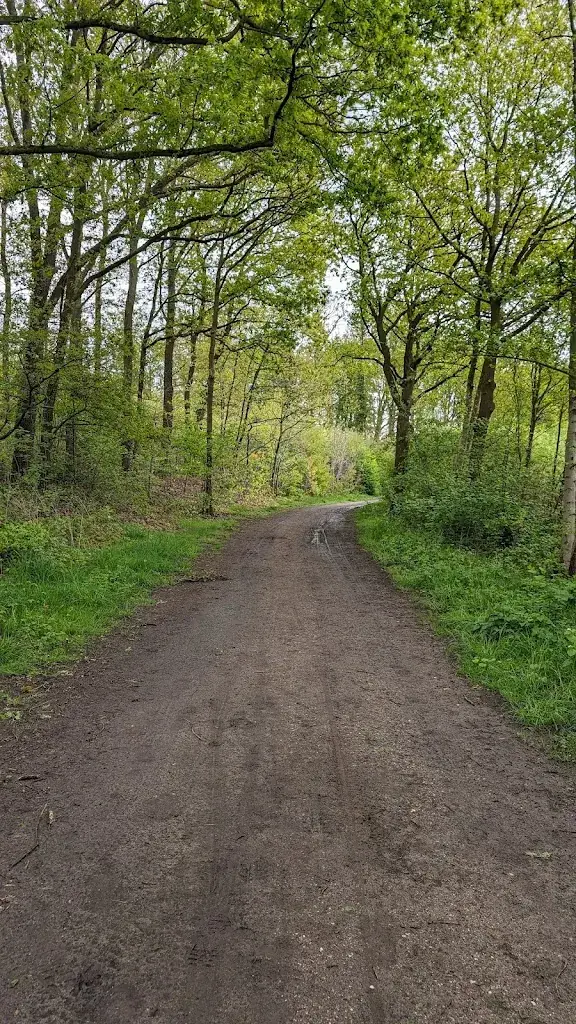 Nino Hauwert_Daelenbroeck castle_Herkenbosch_review