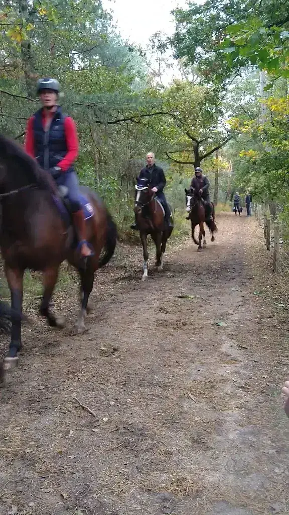 Café Restaurant Rijstal Venhof_Herkenbosch_slider_image_2