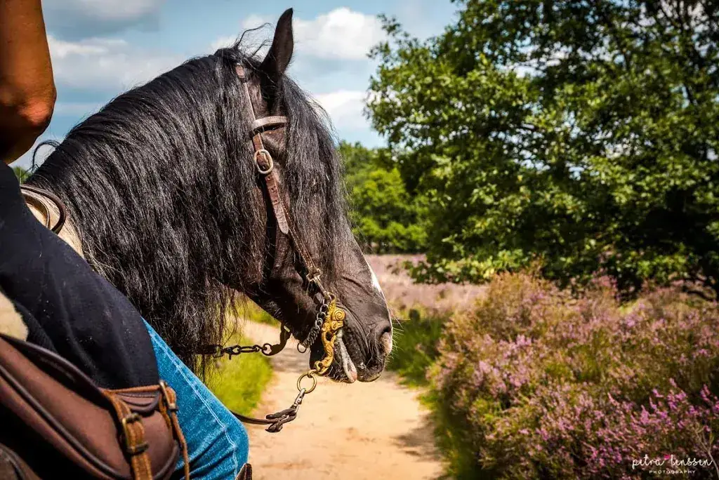 Café Restaurant Rijstal Venhof_Herkenbosch_slider_image_3