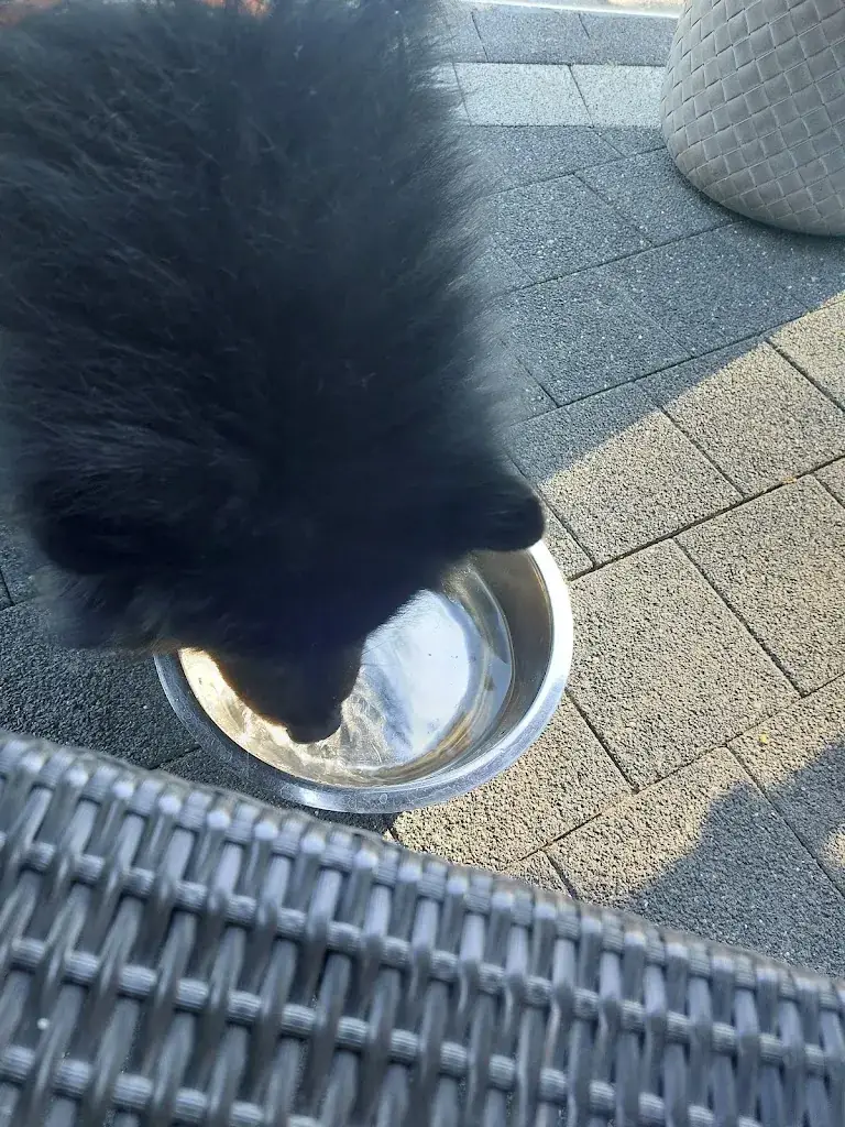 m_Restaurant De Hoeskamer_Vlodrop_review