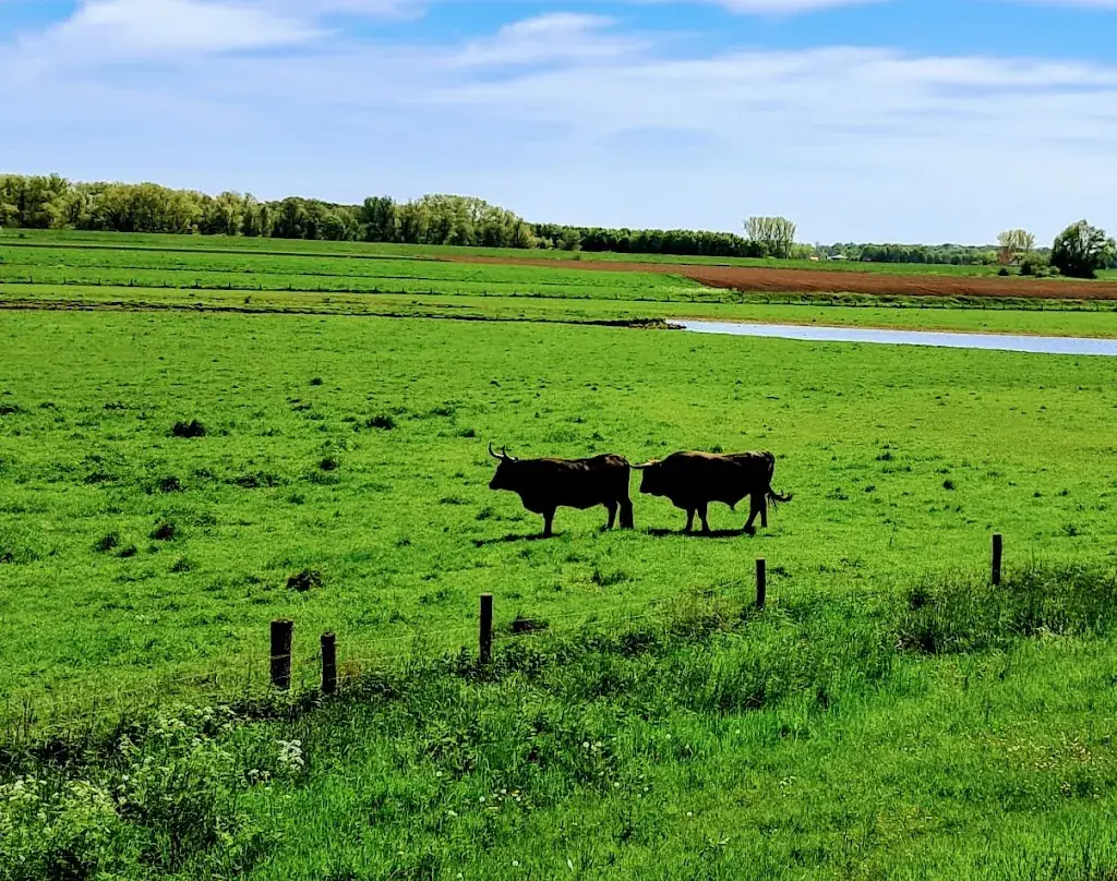 Familie Brummel_Terras Keent_Ravenstein_review