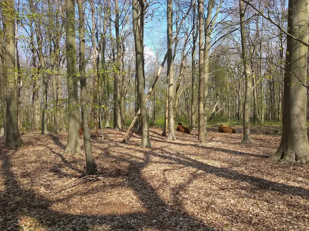 hannah boogert_Zoomers aan het Bos & Bosbrasserie Zoomers_Castricum_review