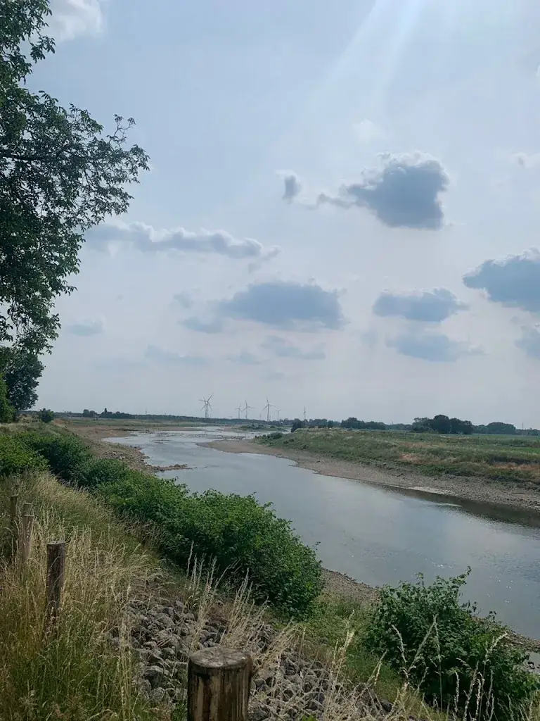 Guus Smeets_Ut Bakkes Maasbendj_Stein_review