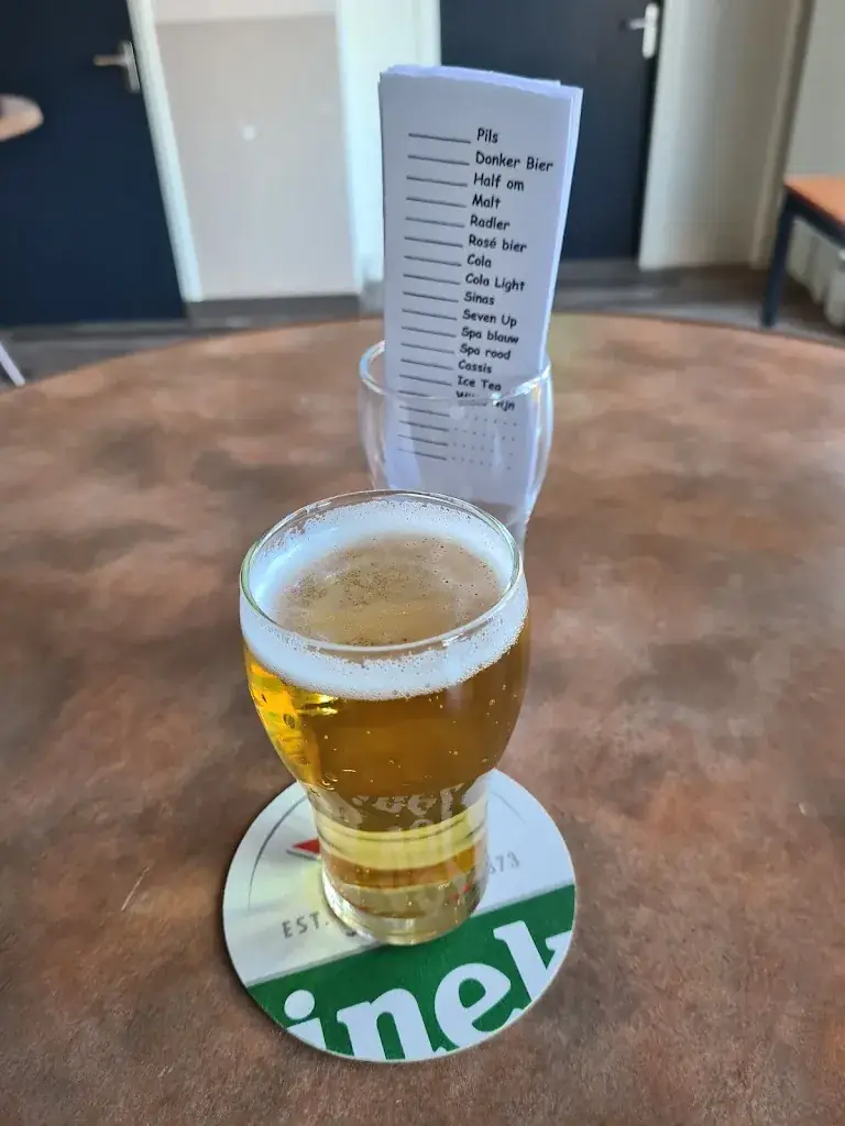 Piet Driessen_Zaal Debije_Hegelsom_review