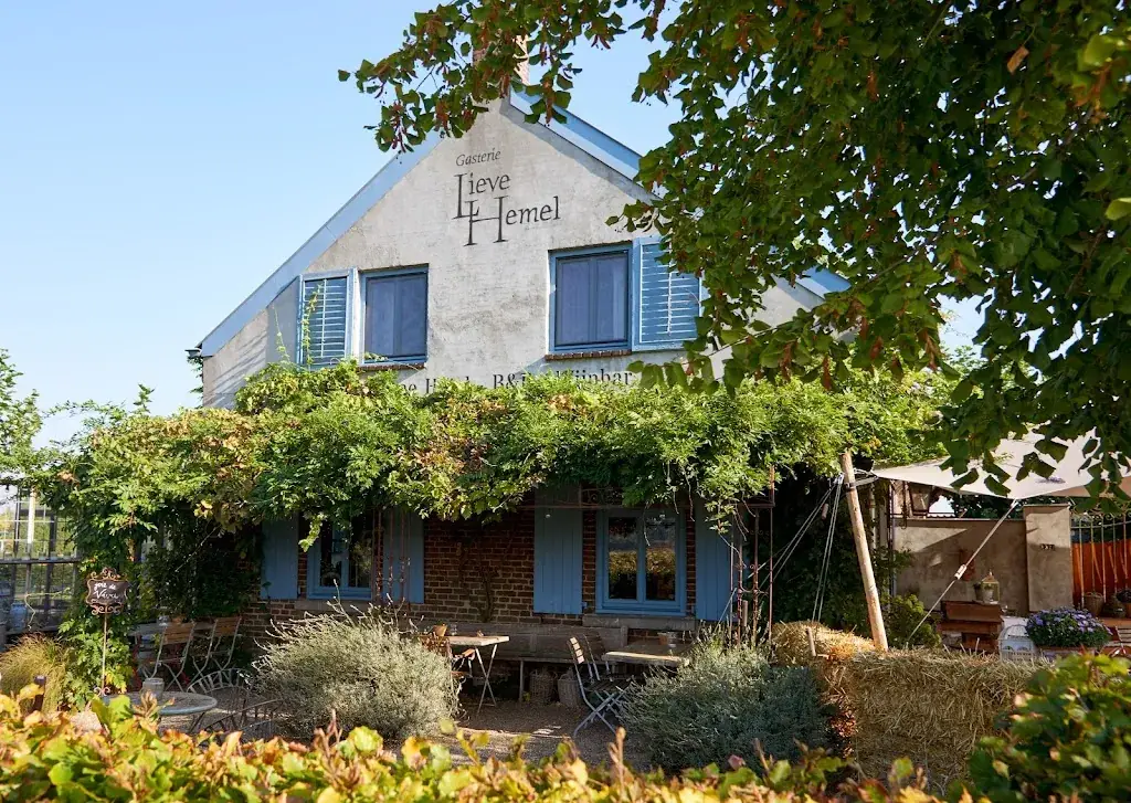 Hemelse Wijn_Sevenum_slider_image_3