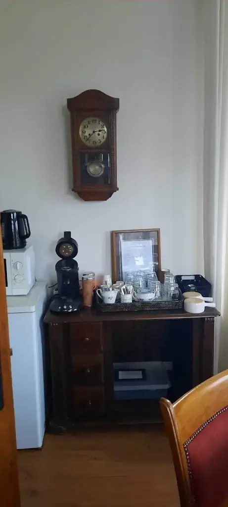 Diana Braat_Staatsie 1866_Hegelsom_review