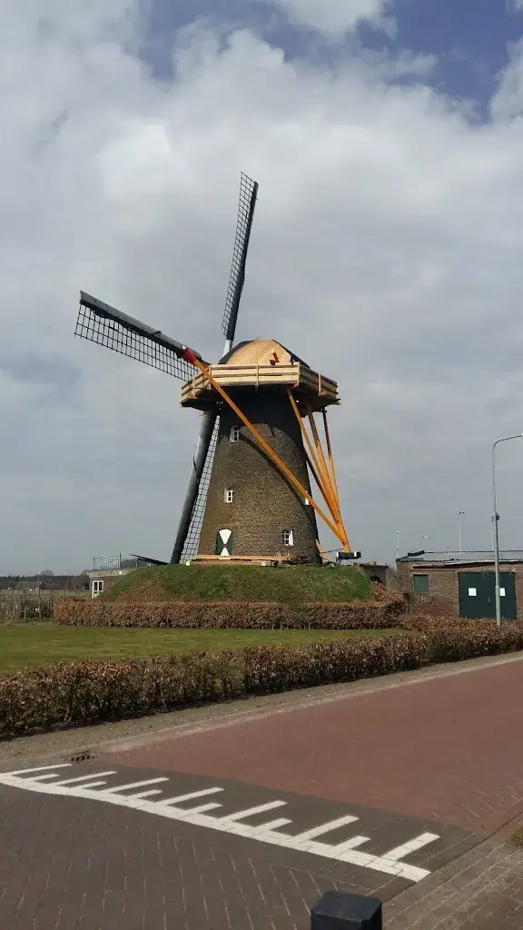 Cafe den Tommes_Merselo_slider_image_1