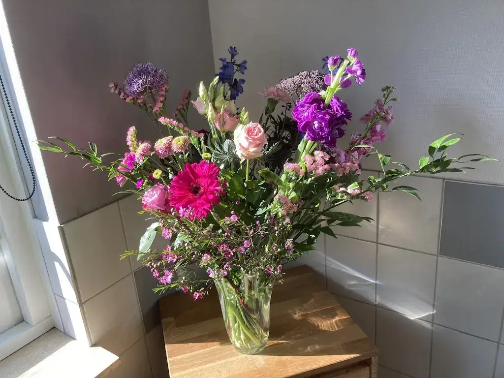 Rianne Van Es-Lammertsen_Het Ambacht Ruinerwold_Ruinerwold_review