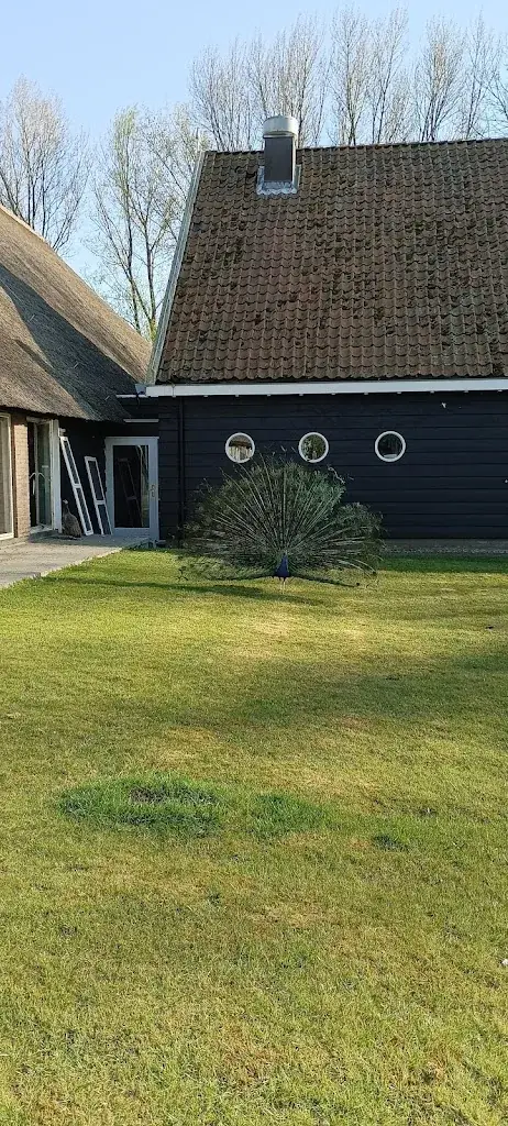 Angela Chatzidou_Landlust_Nieuwdorp_review