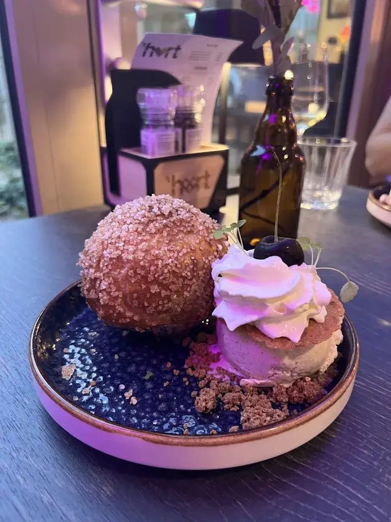 Anne Otte_'t Hart Nieuwdorp_Nieuwdorp_review