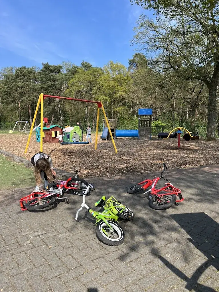 Borislava Paskaleva_De Witte Stein_Reuver_review