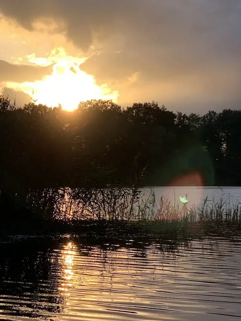 Jørgen Mes_Theehuus Het Hazenpad - (Lunch, drinken, eten)_Ruinerwold_recensione
