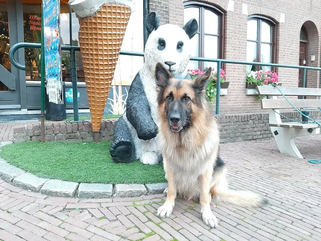 Kira Thom_Tropical_Schimmert_review