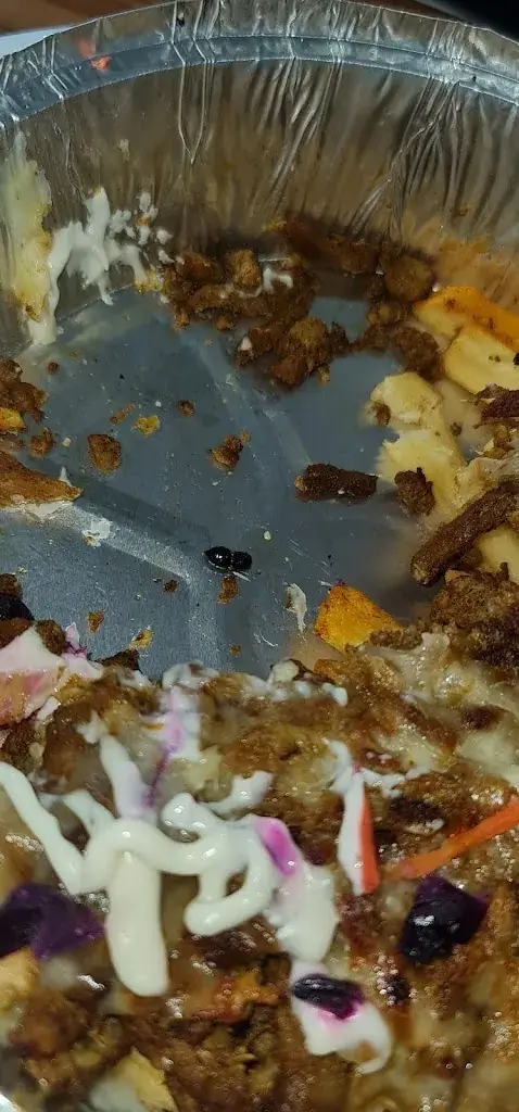 joey speksnijder_El Medina_Odiliënberg_review