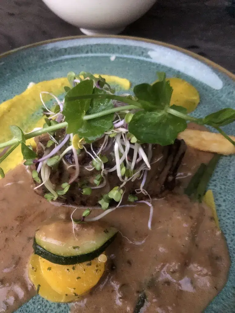 Joshua Cavanagh_Nieuw Vosseven_Stramproy_review