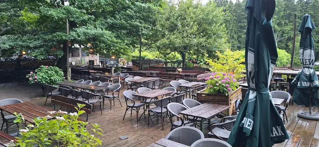 Boskeetje 't Vergulde Reetje_Vijlen_slider_image_1