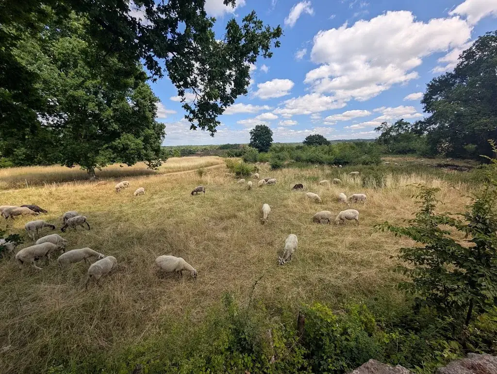 Jornie Rinia_Restaurant Schrieversheide_Heerlen_review