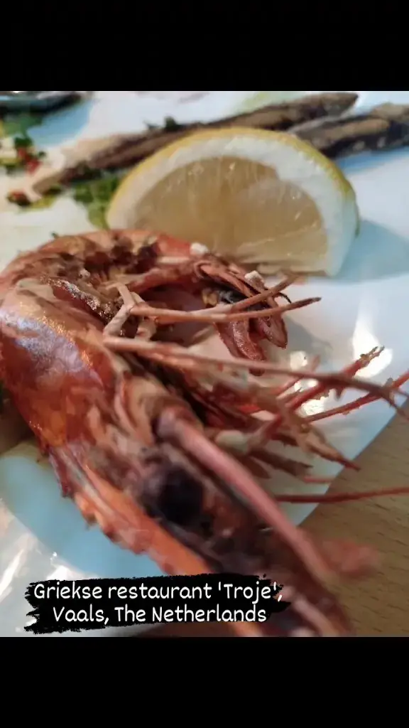 Troje_Vaals_slider_image_2