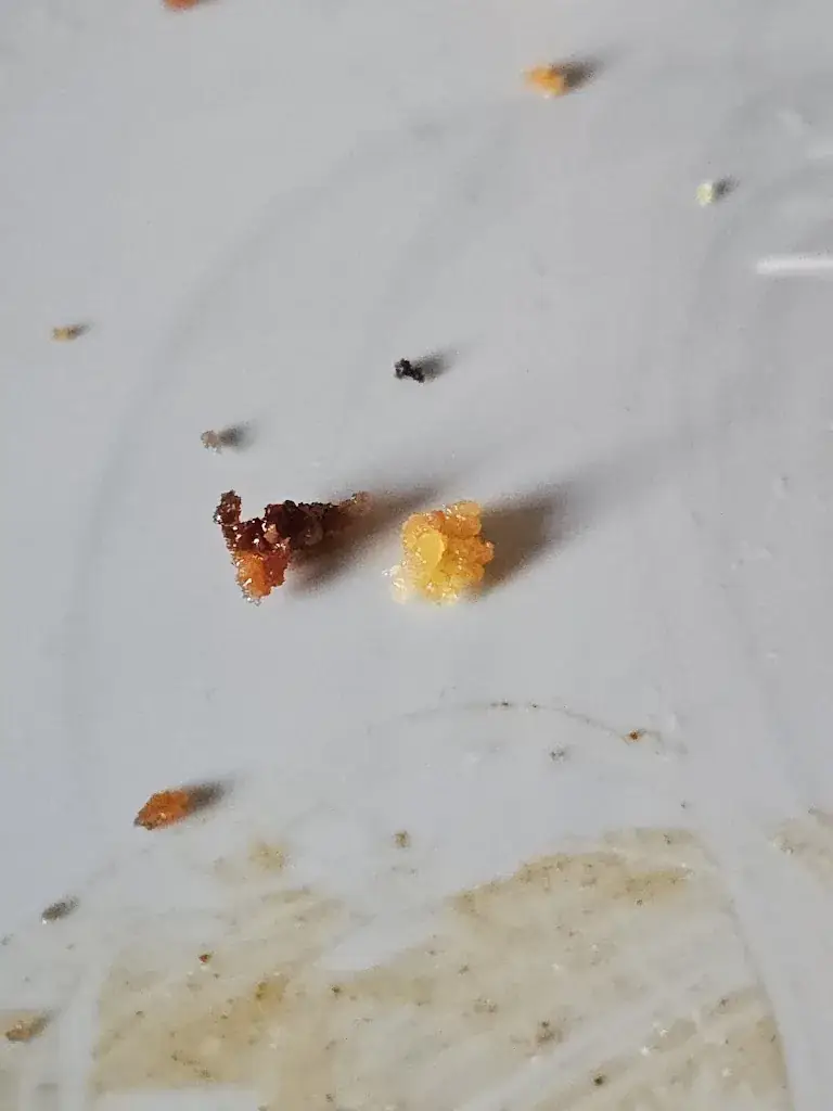 Nando Kools_Friture Cafetaria Oud Waubach_Landgraaf_reseña