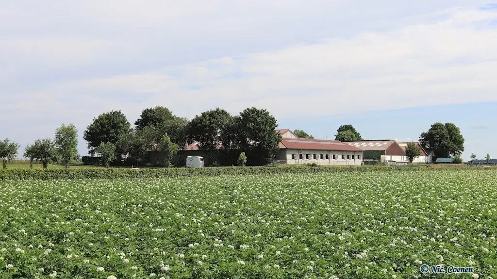 Wijnandsrade_Wijnandsrade_slider_image_1