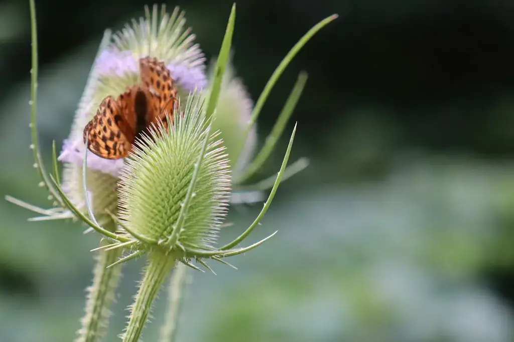 Wijnandsrade_Wijnandsrade_slider_image_2