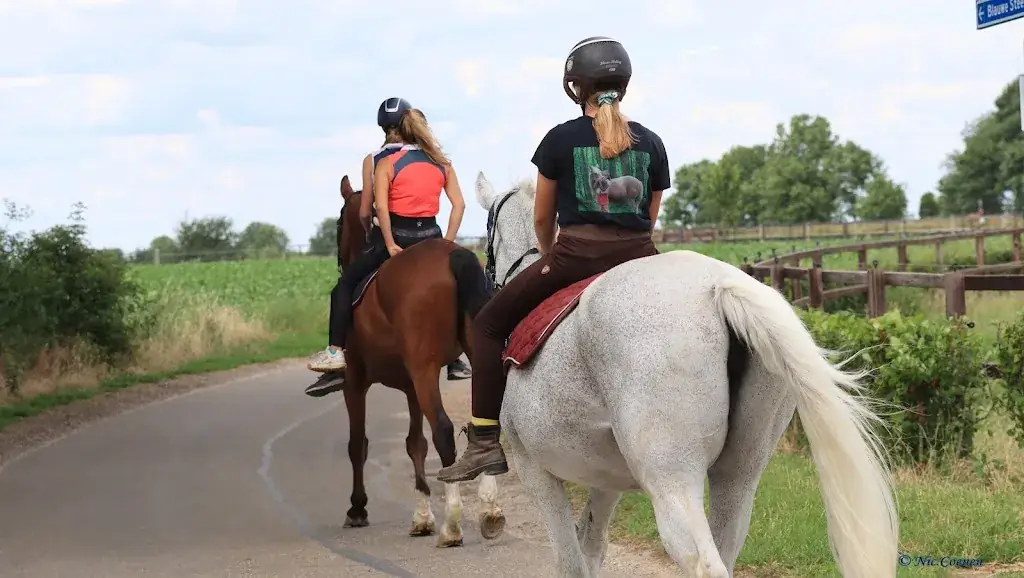 Wijnandsrade_Wijnandsrade_slider_image_3