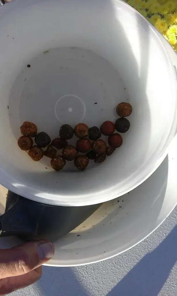 Menu_De Vriezerbrug_Tynaarlo_image_5