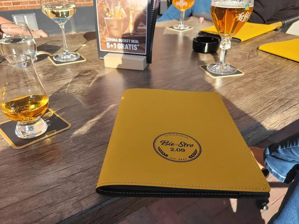 Henk Terpstra_Bie-Stro 2.09_Exloermond_review