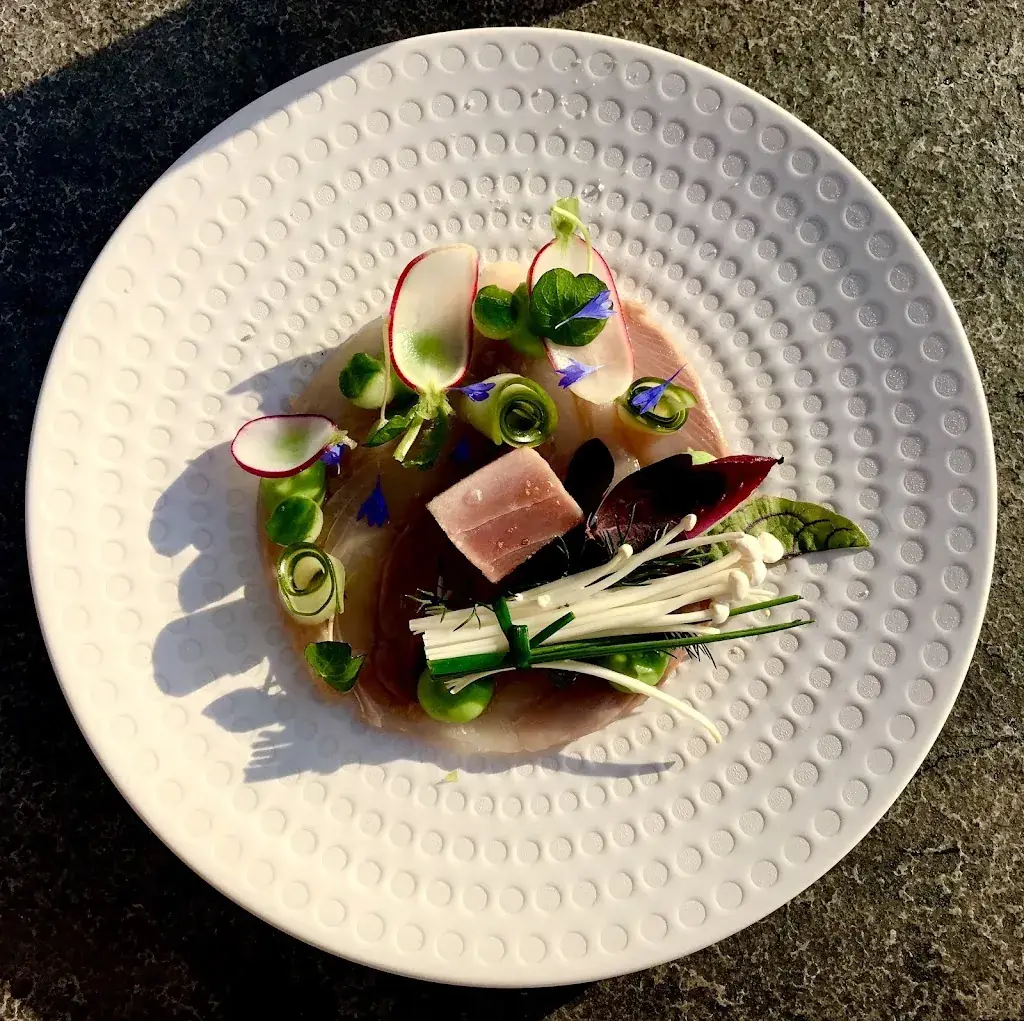 Dark Husky_De Werf - Lunch & Restaurant_Venlo_review