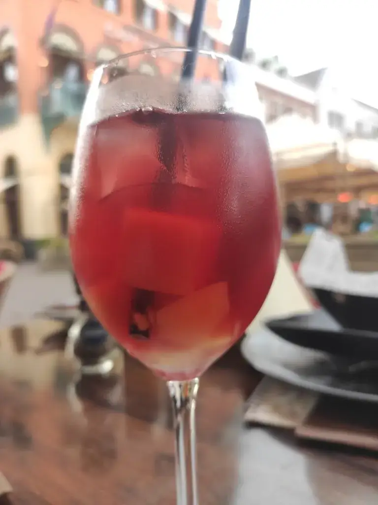 Rama Alhussami_In den dorstigen Haen_Venlo_review