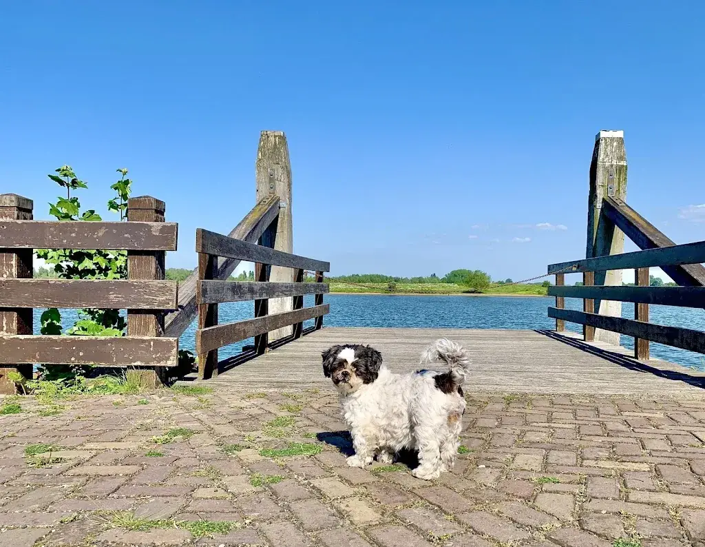 Tour With Mystika_Happetap_Aalburg_review