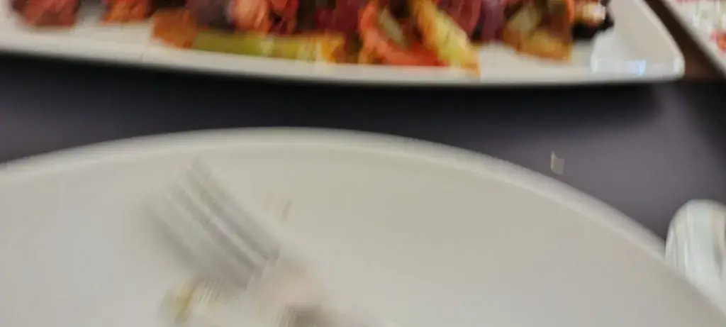 Jessica_Indicious - Indian fine dining Restaurant_Rijn_review