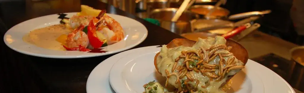 Restaurant AAP_Alphen_slider_image_2