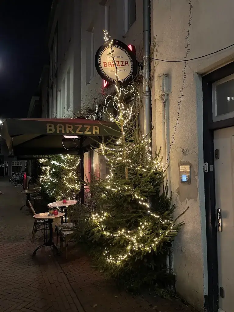 Nicole de Cooker-vanBlerk_Barzza_'s-Hertogenbosch_review