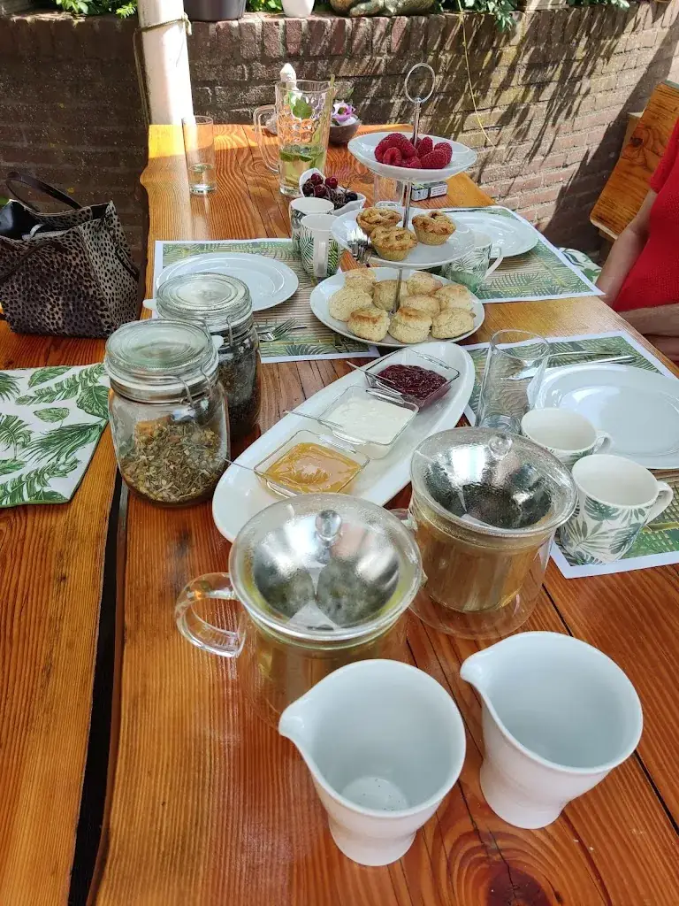 Lena Strik_Zen Drenthe (Lunch Restaurant en Kookstudio)_Rolde_recensione