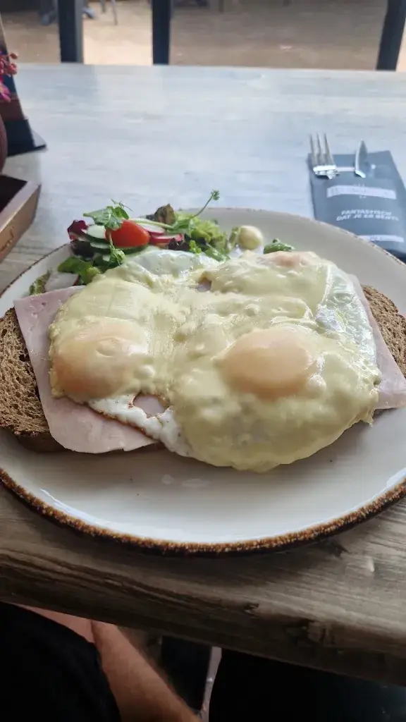 Twan_Brownies&downieS_Goirle_review