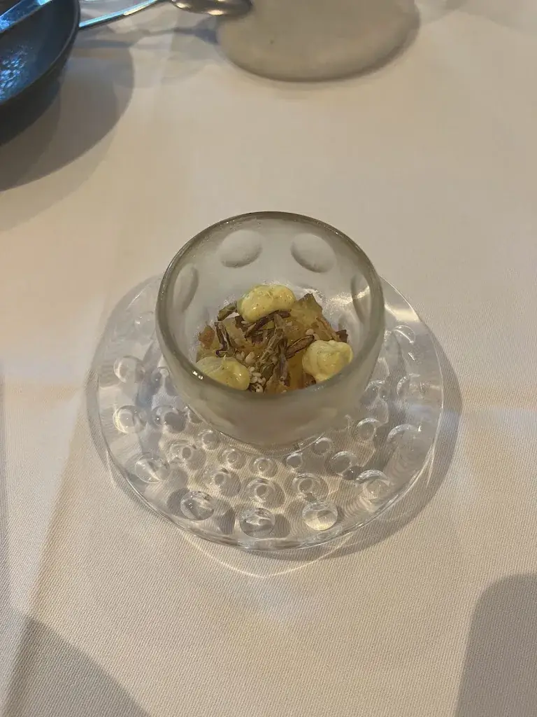 Urza Destiny_Hofstede de Blaak_Tilburg_review