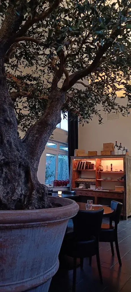 Didier Pockelé_Ristorante Isolani_Waalwijk_review