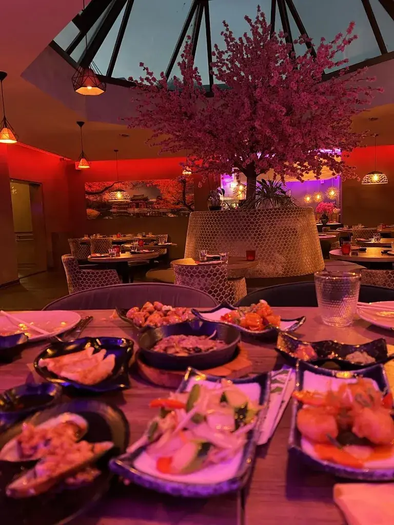 Ruben Samsonyan_Restaurant Okayama_Waalwijk_recensione