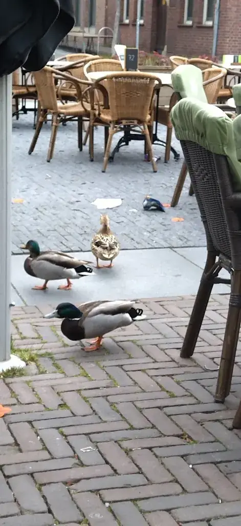 Вадик A_Jan van Hoek Eten & Drinken_Asten_review