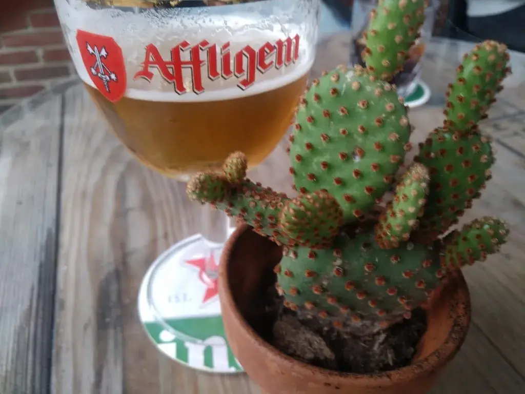 Menu_Eeterij en Feesterij De Driezeeg_Berlicum_image_2