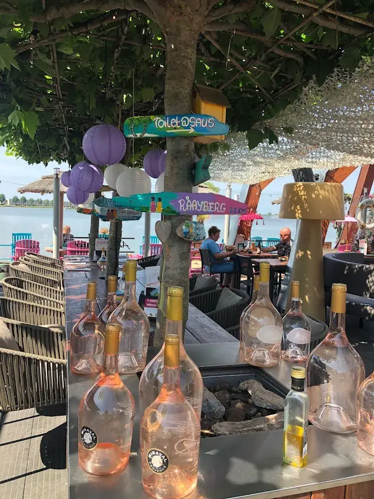 J. Dieter_SAUS - Aan 't water_Zoom_review