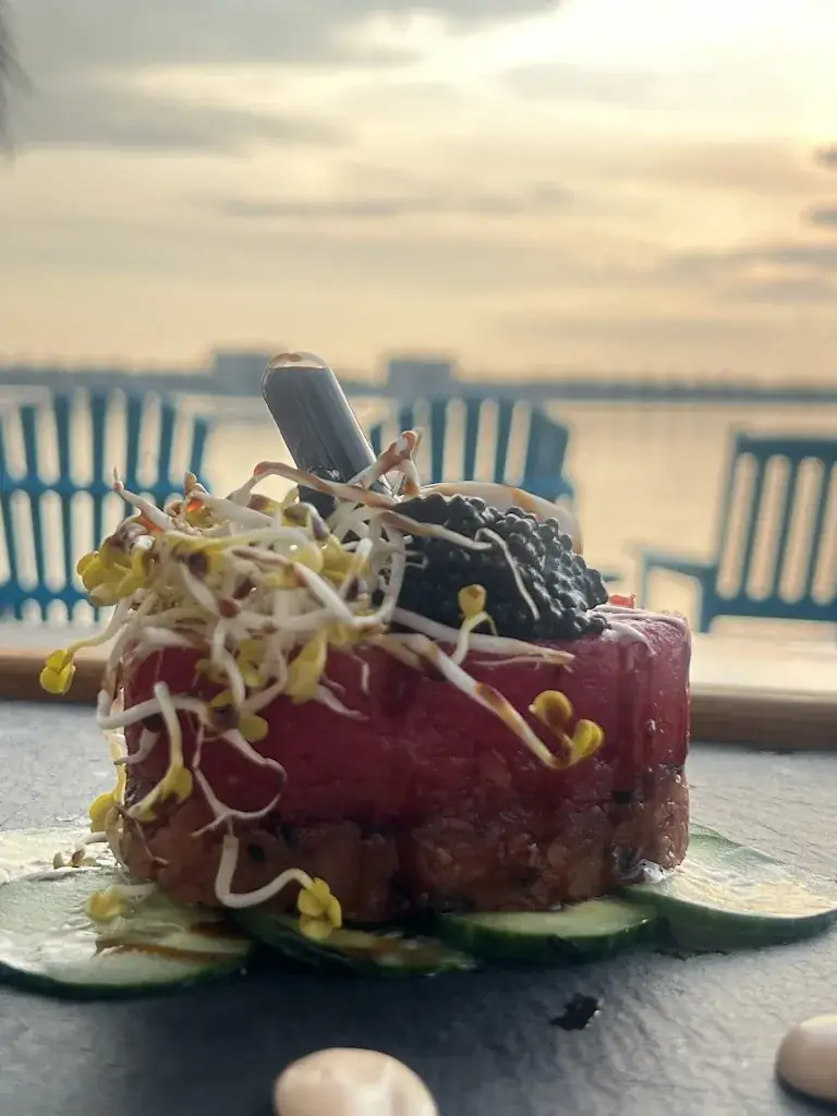 Shahraki Maty_SAUS - Aan 't water_Zoom_review